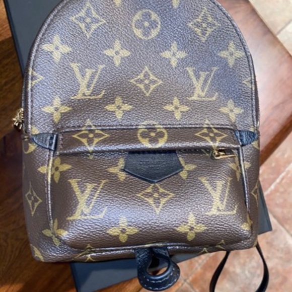 Louis Vuitton Palm Springs mini backpack - Picture 6 of 16